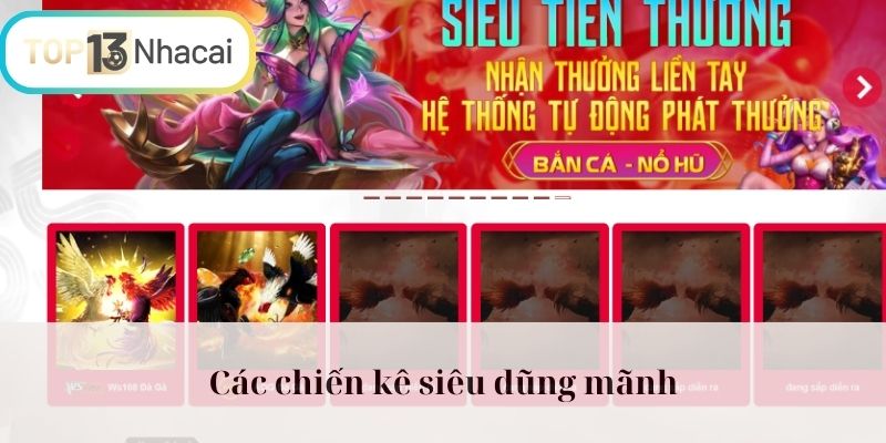 Các chiến kê siêu dũng mãnh