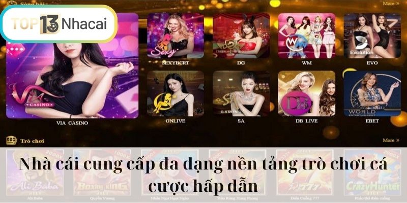 Nhà cái cung cấp đa dạng nền tảng trò chơi cá cược hấp dẫn