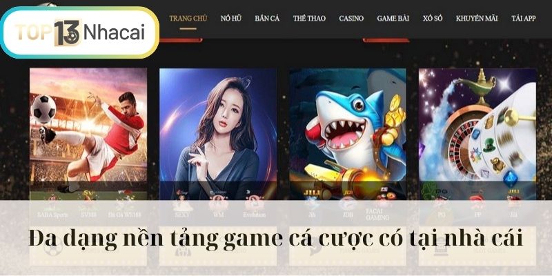 Đa dạng nền tảng game cá cược có tại nhà cái
