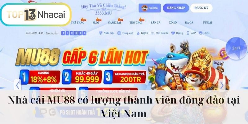 Nhà cái MU88 có lượng thành viên đông đảo tại Việt Nam