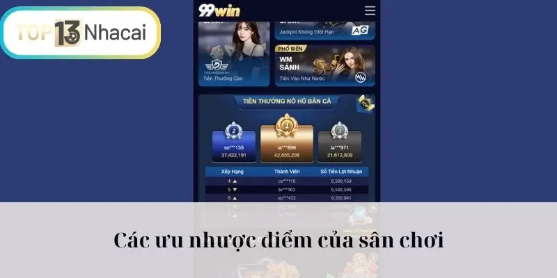 Các ưu nhược điểm của sân chơi