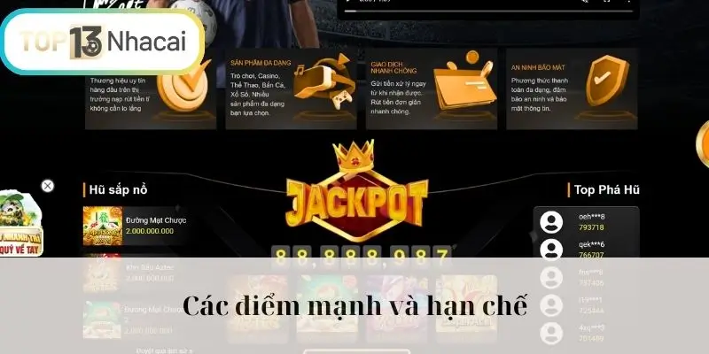 Các điểm mạnh và hạn chế 