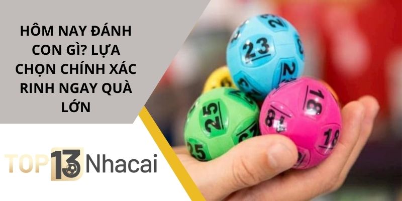 Hôm nay đánh con gì