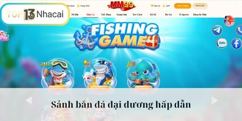 Sảnh bắn đá đại dương hấp dẫn