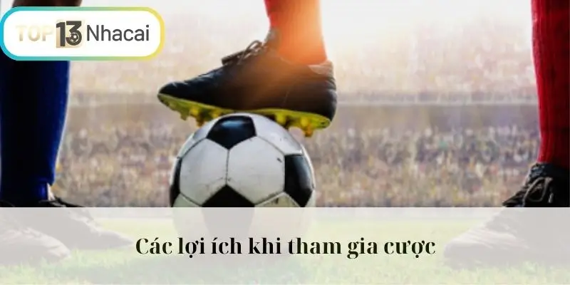 Các lợi ích khi tham gia cược