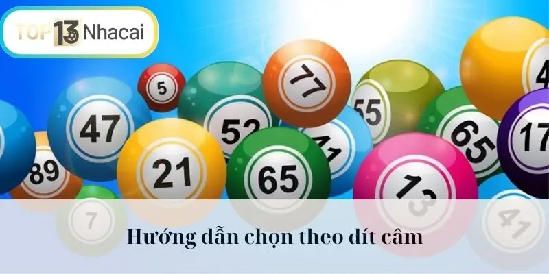Hướng dẫn chọn theo đít câm