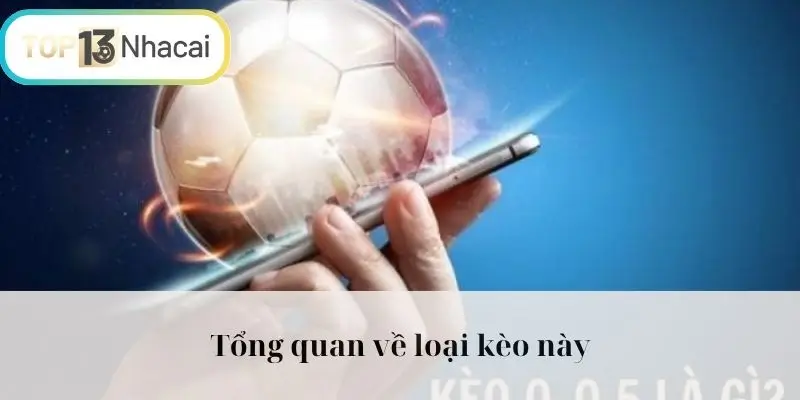 Tổng quan về loại kèo này